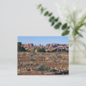 Carte Postale Aiguilles du sentier Pothole Point aux Canyonlands (Debout devant)