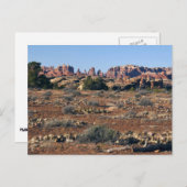 Carte Postale Aiguilles du sentier Pothole Point aux Canyonlands (Devant / Derrière)