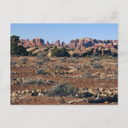 Carte Postale Aiguilles du sentier Pothole Point aux Canyonlands (Devant)