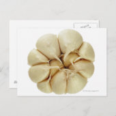 Carte Postale Ail isolé sur arrière - plan blanc, image DFF, (Devant / Derrière)