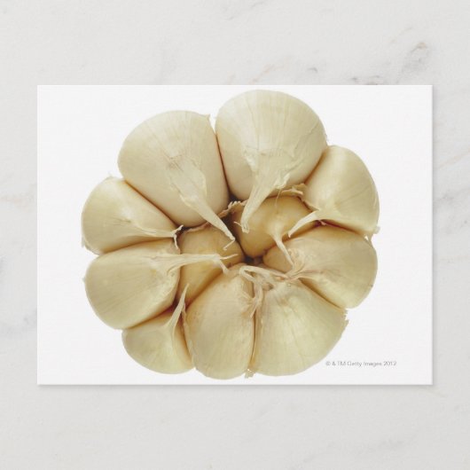 Carte Postale Ail isolé sur arrière - plan blanc, image DFF, (Devant)