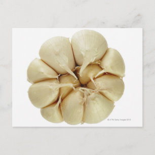 Carte Postale Ail isolé sur arrière - plan blanc, image DFF,