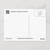 Carte Postale Ailanthus Webworm Moth (Atteva punctella) Articles (Dos)