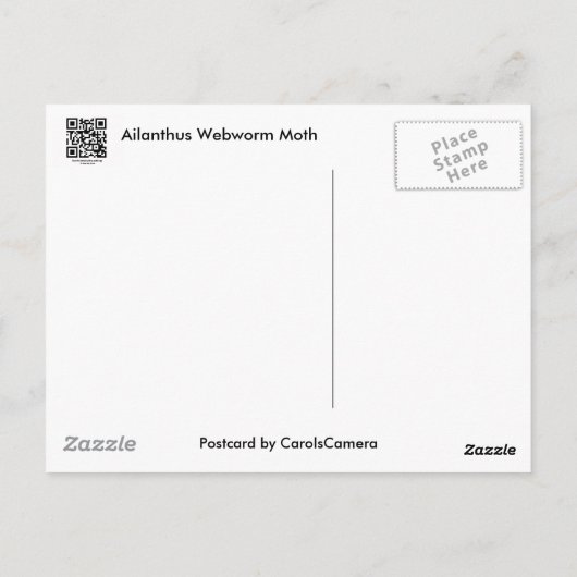 Carte Postale Ailanthus Webworm Moth (Atteva punctella) Articles (Dos)