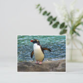 Carte Postale aile de pingouin (Debout devant)