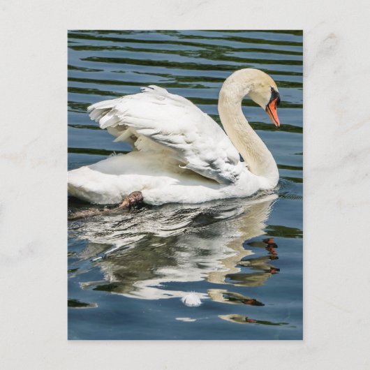 Carte Postale Ailes (Devant)