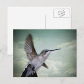 Carte Postale Ailes d'ange - La Série (Devant / Derrière)