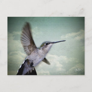 Carte Postale Ailes d'ange - La Série