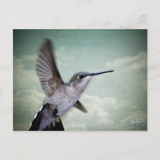 Carte Postale Ailes d'ange - La Série (Devant)