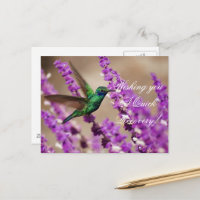 Ailes de foi qui éclatent des oreilles de violet C