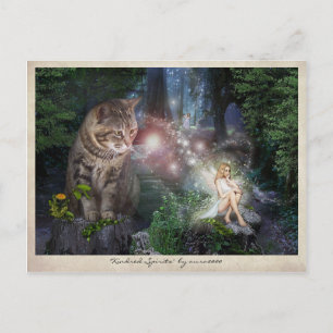 Carte Postale Aimants 🧚 ‍ ♀️ 😽