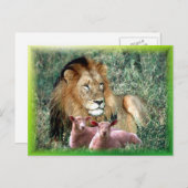 Carte Postale Aime l'âme - (Devant / Derrière)