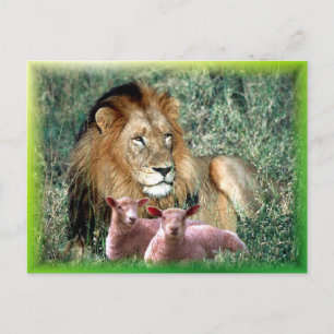 Carte Postale Aime l'âme -