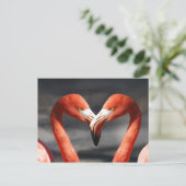 Carte postale Aimer Flamant rose rose (Debout devant)