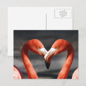 Carte postale Aimer Flamant rose rose (Devant / Derrière)