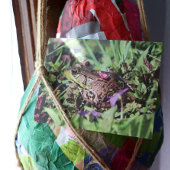 Carte Postale Aimer le crapaud