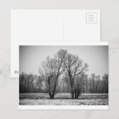 Carte Postale Aimer les arbres (Devant / Derrière)