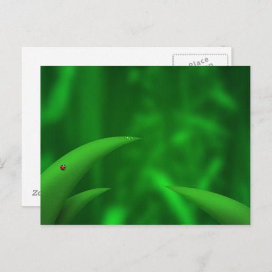 Carte Postale Aimer les Verts ! (Devant / Derrière)