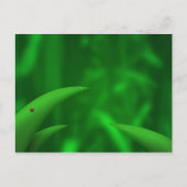 Carte Postale Aimer les Verts ! (Devant)