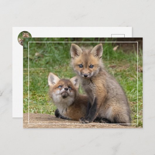 Carte Postale Aimer les yeux (Devant / Derrière)