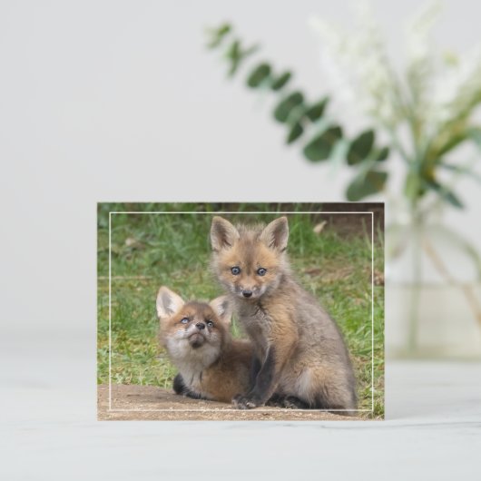 Carte Postale Aimer les yeux (Debout devant)