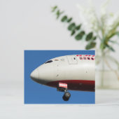 Carte Postale Air India b787 (Debout devant)