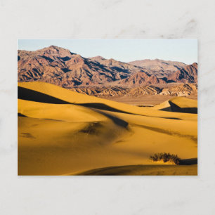 Carte Postale Aire de jeu désertique