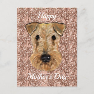 CARTE POSTALE AIREDALE TERRIER