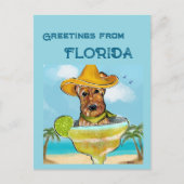 Carte Postale Airedale Terrier  (Devant)