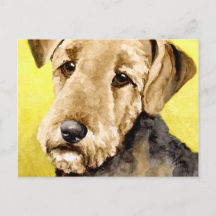 Carte postale Airedale Terrier