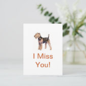 Carte Postale Airedale Terrier (Debout devant)