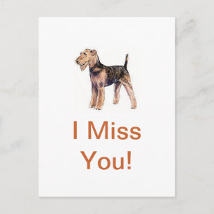 Carte Postale Airedale Terrier