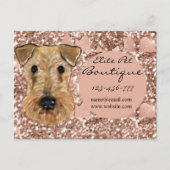 Carte Postale Airedale Terrier (Devant)