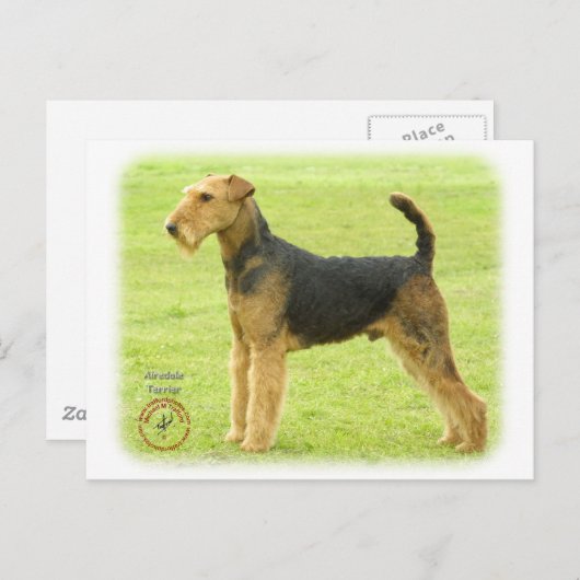 Carte Postale Airedale Terrier 8T092D-16 (Devant / Derrière)