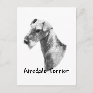 Carte Postale Airedale Terrier Charbon