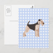Carte Postale Airedale Terrier En vichy bleu (Devant / Derrière)