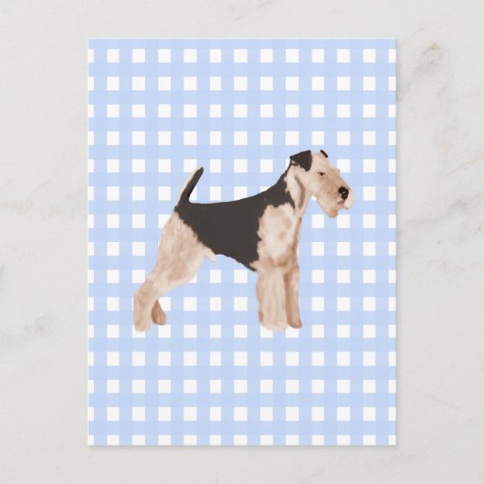 Carte Postale Airedale Terrier En vichy bleu (Devant)
