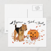 Carte Postale Airedale Terrier Halloween (Devant / Derrière)