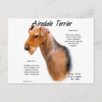 Airedale Terrier Histoire