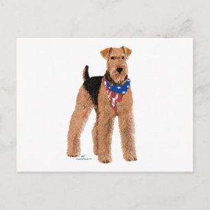 Carte Postale Airedale Terrier patriotique