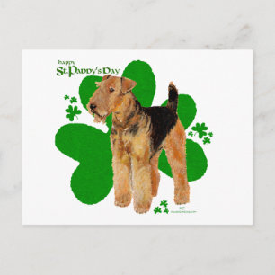Carte Postale Airedale Terrier St Paddy
