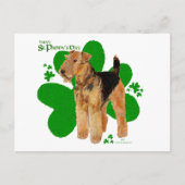 Carte Postale Airedale Terrier St Paddy (Devant)