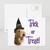 Carte Postale Airedale Terrier Trick (Devant / Derrière)