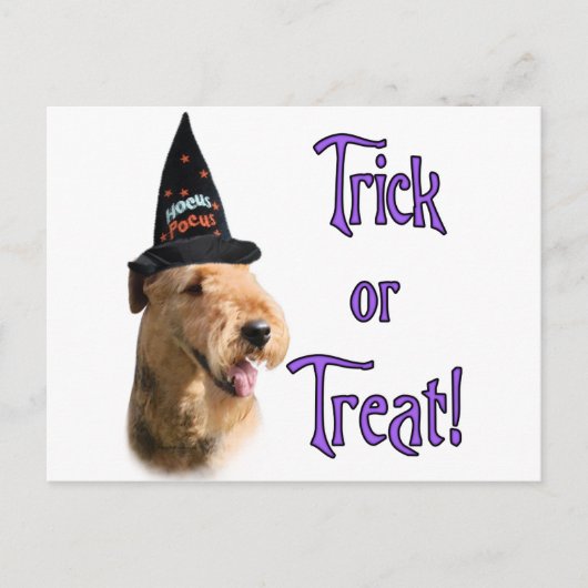 Carte Postale Airedale Terrier Trick (Devant)