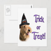 Carte Postale Airedale Terrier Trick (Devant / Derrière)