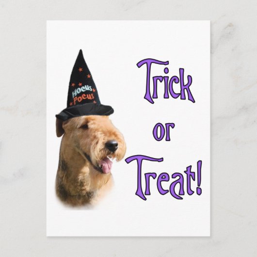 Carte Postale Airedale Terrier Trick (Devant)