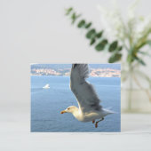 Carte postale Airmail Seagull (Debout devant)