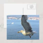 Carte postale Airmail Seagull (Devant / Derrière)