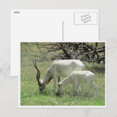 Carte Postale ajouter (Devant / Derrière)