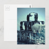 Carte Postale Ajouter Un SLOGAN Pour Sauver La Planète Ours Pola (Devant / Derrière)